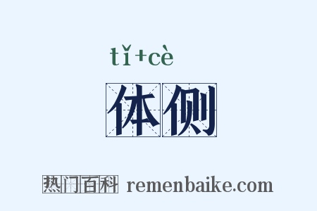 体侧是什么意思的图片